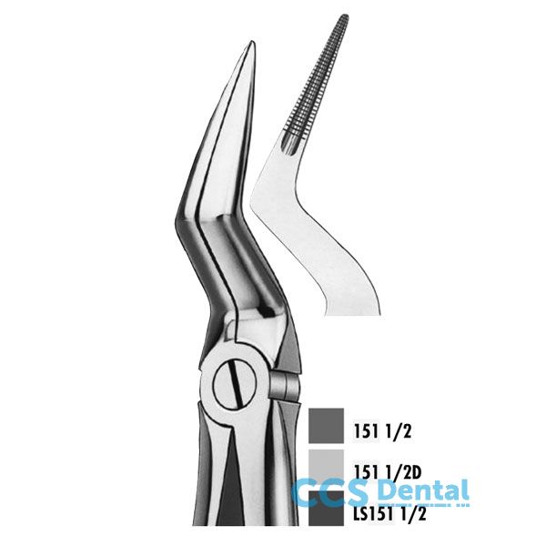 151 1/2 Forceps Raices Superio