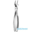 152 Forceps Raices Superiores