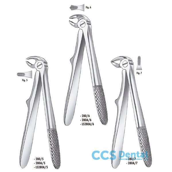 280/6 For.Klein Niño Molar.Inf