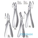 Ls280A/3 F.Klein Niño Molar.Sup Liquid Steel