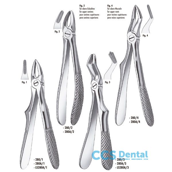 Ls280A/3 F.Klein Niño Molar.Sup Liquid Steel