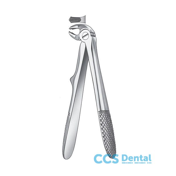 Ls280A/6 F.Klein Niño Molar.Inf Liquid Steel
