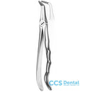 346 Forceps Raices Sup.M/Anat.