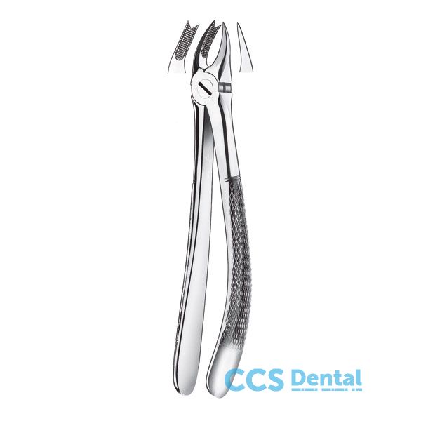 366R Forceps Molar Sup. Dcha  