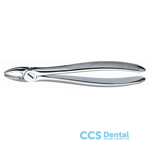 M2001 Forceps Incis-Canino Sup