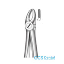 M2007 Forceps Premolares Sup.
