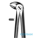 M2013 Forceps Premolares Inf.