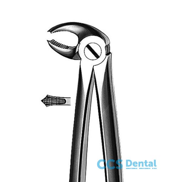 M2022 Forceps 