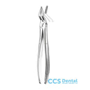 M2051 Forceps Raices Superior.