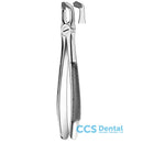 M2079 Forcesp Cordales Inf.