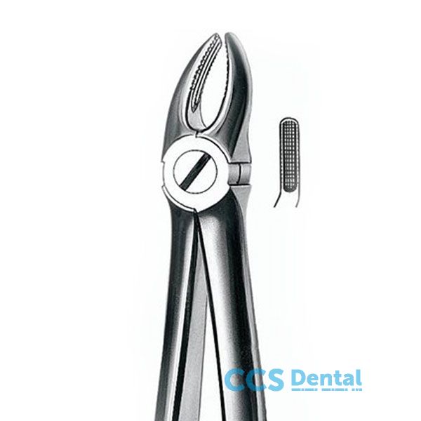 307 Forceps Raices