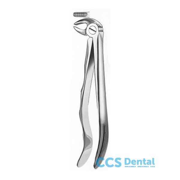 313 Forceps Raices