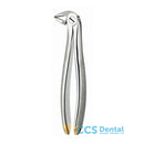 33Ad Forceps Raiz Inf. Diamant.