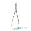 1149Tc/17 P.-Agujas Lichtenberg