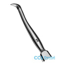 1801/3-16cm. Sindesm.Chompret