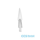 1191Sp/3 Punta Greenstein 0.2