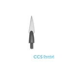 1191Sp/6 Punta Greenstein 0.12