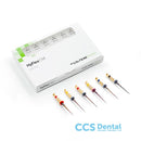 Hyflex Cm Niti 40/04  31 mm.