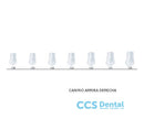 St5K131 Corona Acetato Canino Sup. Derecha. 5Uds.