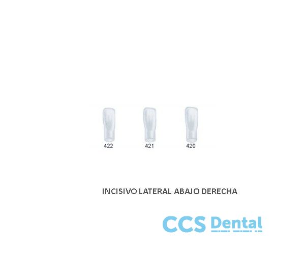 St5K421 Corona Acetato Lateral Inf. Derecha 5Uds.