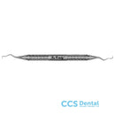 Sl3/46 Cur.Langer Posterior M6