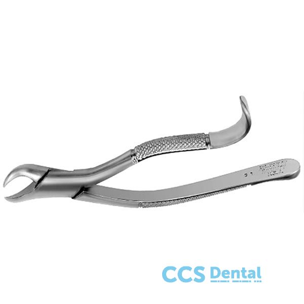 F16 Cuerno De Vaca Molar Infer