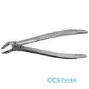 Fx31E Forceps Raices Inferiores
