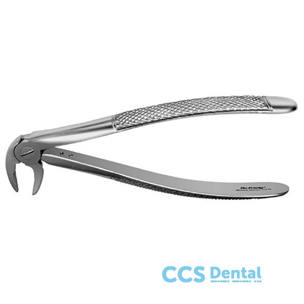 Fx33E Forceps Raices Inferiores