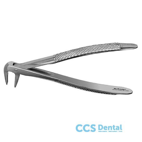 Fx74Ne Forceps Anteriores      