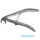 Fx2Ce Forceps Niño Molar