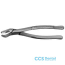 F53R Forceps Molar. Sup. Dcho.
