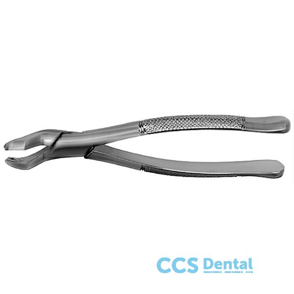 F53R Forceps Molar. Sup. Dcho.