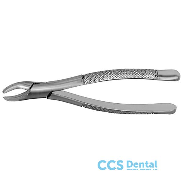 F101 Forceps Premolar. Sup. Hull