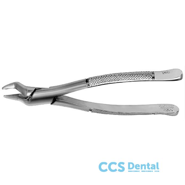 F286 Forceps Premolar Raices