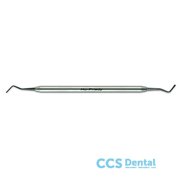 Plgkot2 Obturador Kotschy