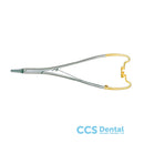 Nhlbpse P-Agujas Lichtenberg