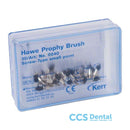 0240/30 Cepillo M-Punt.Screw30