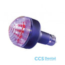 Bombilla Revelado Kodak 