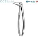 Fórceps para extracción n.33-L