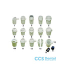 040558 Crisol Galloni Nº6